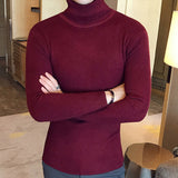 Men Turtleneck Sweaters and Pullovers  New Fashion Knitted Sweater Winter Men Pullover Homme Wool Casual Solid Clothes